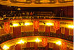 Imagen de la actuación 'Sustitución de la cubierta del Teatro Vico'