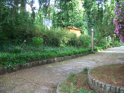 Imagen de la actuación 'Mejora del Parque-Jardín, Carballeira y su entorno'