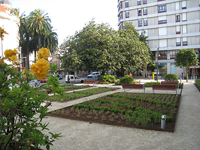 Imagen de la actuación 'Mejora del Parque-Jardín, Carballeira y su entorno'