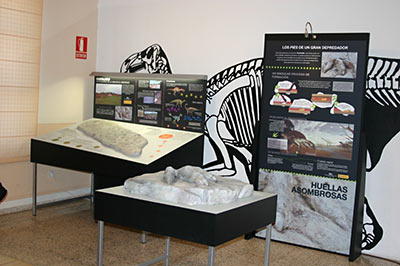 Imagen de la actuación 'Actuaciones de Consolidación, Protección y Puesta en Valor de los Yacimientos de icnitas de Dinosaurios de la Provincia de Burgos'